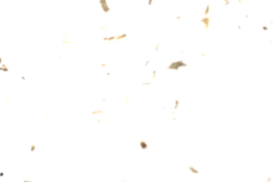 Image 90